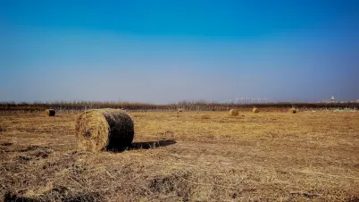 Kakadu Kazino Mobilioji programa